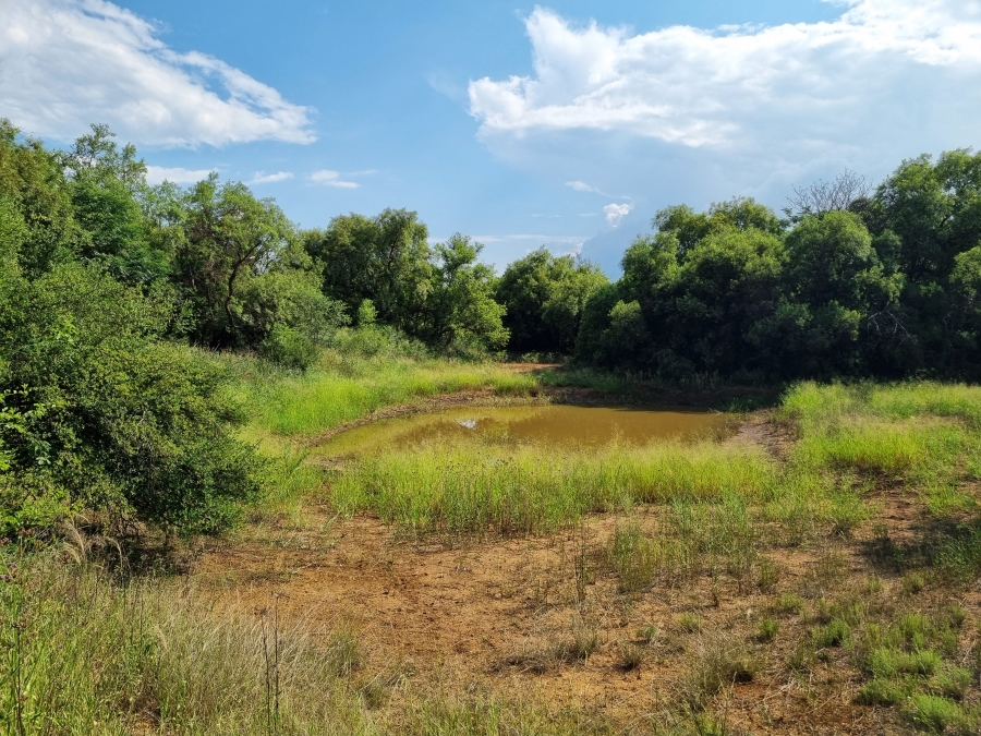 Commercial Property for Sale in Olifantsnek North West